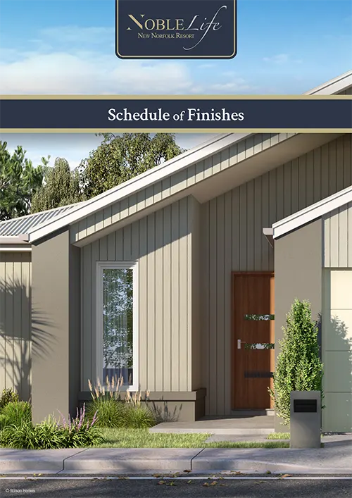 Finishes Flyer flyer